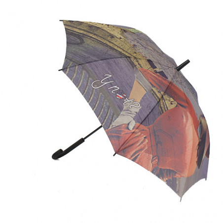 Parapluie long vintage Hudson river
